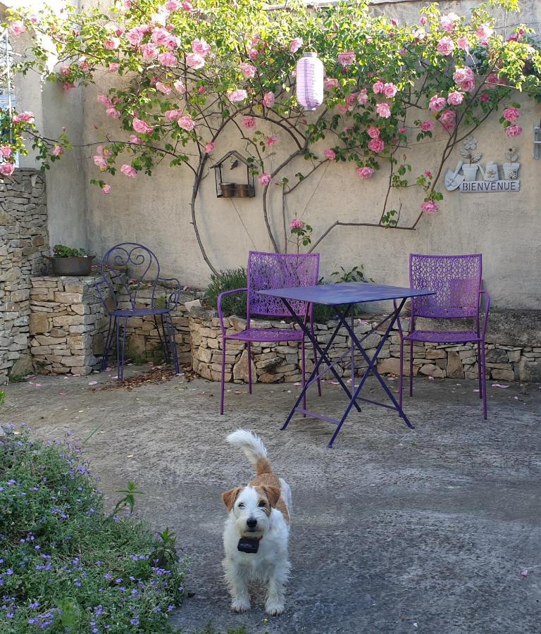 Pause Couleur Lavandula Roussas 外观 照片