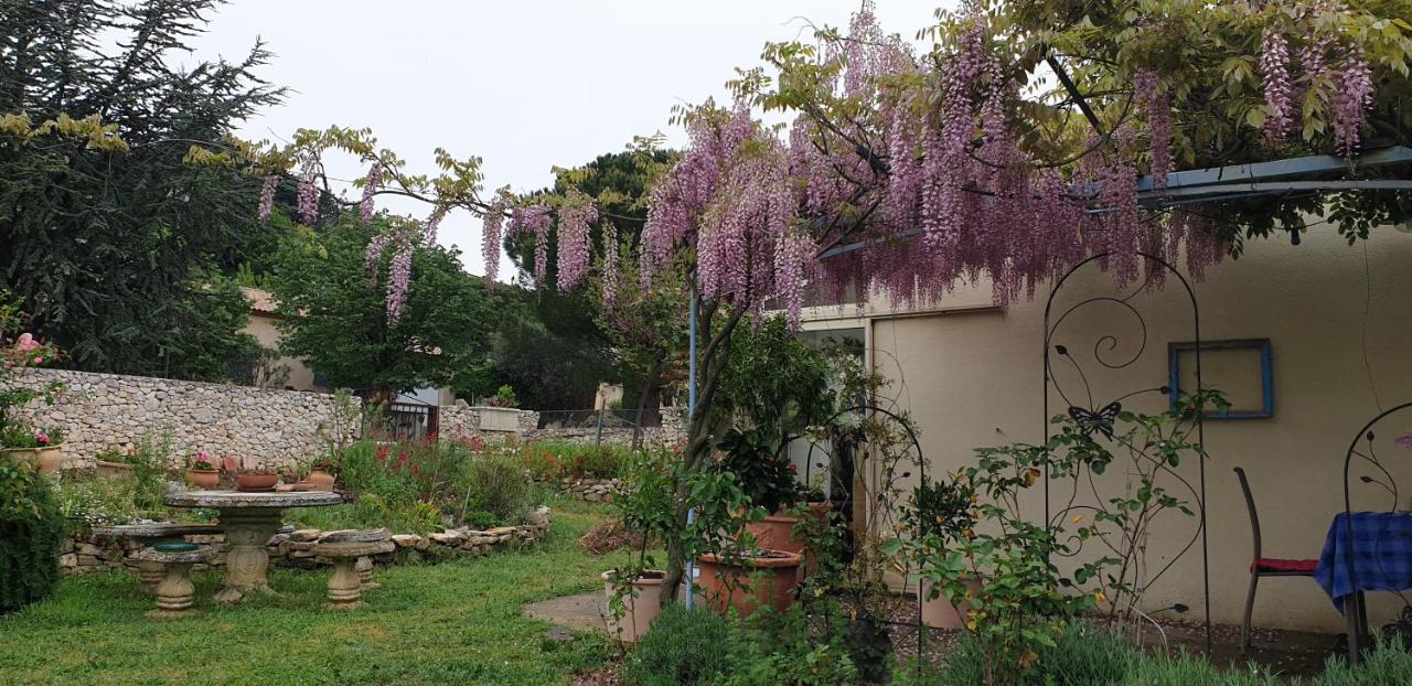 Pause Couleur Lavandula Roussas 外观 照片