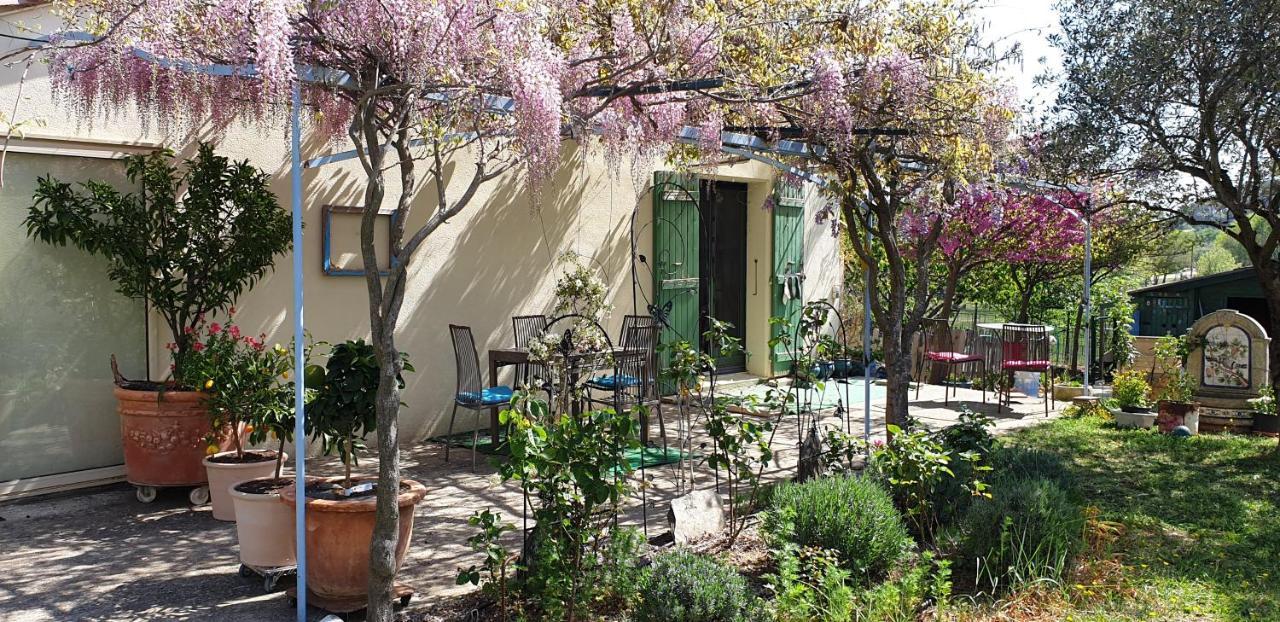 Pause Couleur Lavandula Roussas 外观 照片