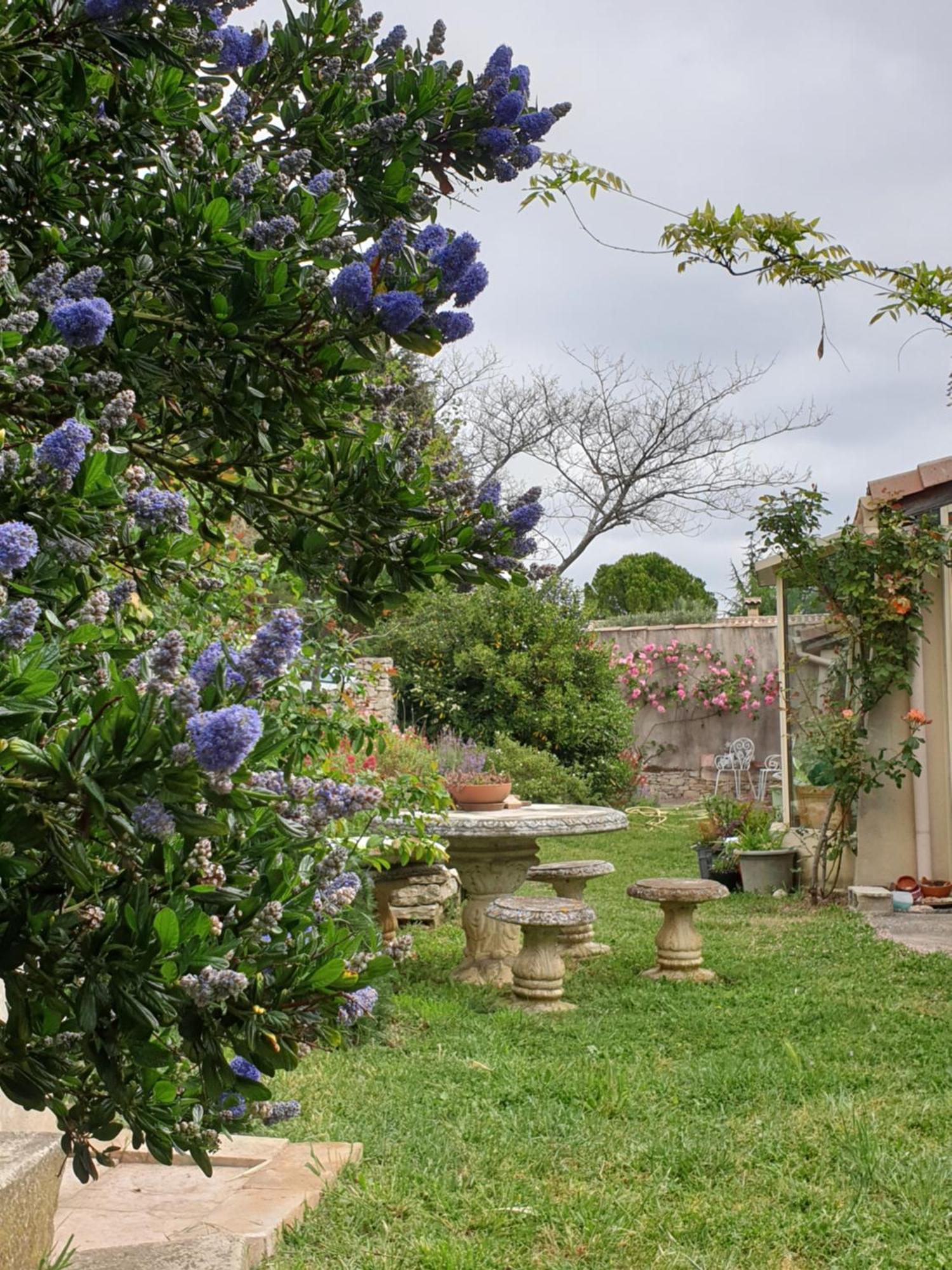 Pause Couleur Lavandula Roussas 外观 照片